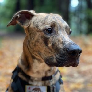 Meet your Posher, Wesley